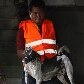 Cães e gatos são resgatados de templo inundado na Tailândia Cães e gatos são resgatados de templo inundado na Tailândia