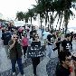 Dia da Vaia Dia da Vaia