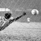 São Paulo relembra primeiro título brasileiro 35 anos depois São Paulo relembra primeiro título brasileiro 35 anos depois