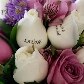 Mensagens são escritas em pétalas das flores