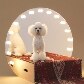 Mostra traz casinhas de cachorro projetadas na medida para eles