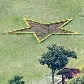 Presidência informou que Dilma desconhece a estrela e Presidência informou que Dilma desconhece a estrela e