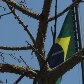 Leitores montam painel de Brasília em seus 52 anos Leitores montam painel de Brasília em seus 52 anos