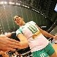 Brasil vence a Argélia sem dificuldades na Copa do Mundo de vôlei feminina Brasil vence a Argélia sem dificuldades na Copa do Mundo de vôlei feminina