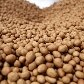 Conheça os campeões da alergia alimentar