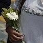 Pela internet, alunos combinaram de levar uma rosa branca em sinal de paz