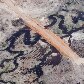 Greenpeace divulga fotos aéreas da construção da usina de Belo Monte