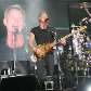 Sting toca no Japão. Sting toca no Japão.