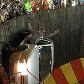 Dia do Trabalho com festa na Tailândia