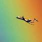 Avião voa sobre arco-íris no Mar Mediterrâneo, ao sul da França Avião voa sobre arco-íris no Mar Mediterrâneo, ao sul da França