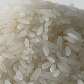 A hora e a vez dos pequenos produtores de arroz