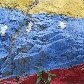 Bandeira também é desenhada em uma pedra, na cidade de Caracas