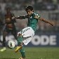 Palmeiras vence o Sport por 3 a 1 no Pacaembu, pela 22ª Rodada do Brasileiro