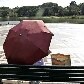 SP tem recorde de radiação e calor