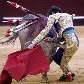 José Tomás senda atingido em arena em Málaga, Espanha