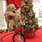 Shoppings antecipam a decoração de Natal