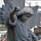 Funerárias oferecem serviços inusitados para o último adeus
