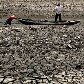 Lago Honghu, na China, sofre com a maior seca em 70 anos; choveu apenas 21% comparado ao ano de 2010