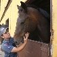 Mulheres mostram força e ganham espaço na PM