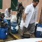 Relembre o incêndio que destruiu mais de 500 amostras do Instituto Butantan Relembre o incêndio que destruiu mais de 500 amostras do Instituto Butantan