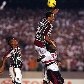 Pela sexta vez consecutiva, o São Paulo é eliminado por um time brasileiro da Libertadores; relembre Pela sexta vez consecutiva, o São Paulo é eliminado por um time brasileiro da Libertadores; relembre