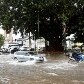 Forte chuva atinge São Paulo Forte chuva atinge São Paulo