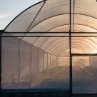 Arte & Lazer - Estufa de secagem da fazenda Vale do Juliana onde materiais diferentes estão sendo testados para otimizar a secagem das amêndoas - Foto: João Milet Meirelles/AE