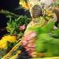 Desfile da escola de samba Unidos da Tijuca