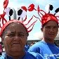 Manifestantes protestam contra Código Florestal em Brasília