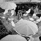 Terraço Itália