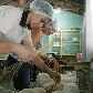 A hora e a vez dos pequenos produtores de arroz