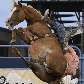 Jones caiu com seu cavalo ao executar um movimento