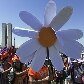 Dilma participará da Marcha das Margaridas em Brasília Dilma participará da Marcha das Margaridas em Brasília