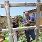 Morar na cidade não é mais desculpa para não ter uma hortinha em casa
