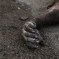 Homem bomba é visto após pequena explosão nas ruas da periferia de Cabul, no Afeganistão Homem bomba é visto após pequena explosão nas ruas da periferia de Cabul, no Afeganistão