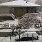 Internautas enviam fotos do frio da Europa Internautas enviam fotos do frio da Europa