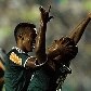 Copa do Brasil - Palmeiras x Paraná Copa do Brasil - Palmeiras x Paraná