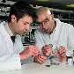 Cientistas britânicos desenvolvem bateria com refil para laptops. 10/10/2007