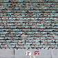 Tunick fotografou os modelos em diversos lugares do estádio Tunick fotografou os modelos em diversos lugares do estádio