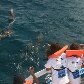 Projeto ensina crianças da região a respeitarem os animais