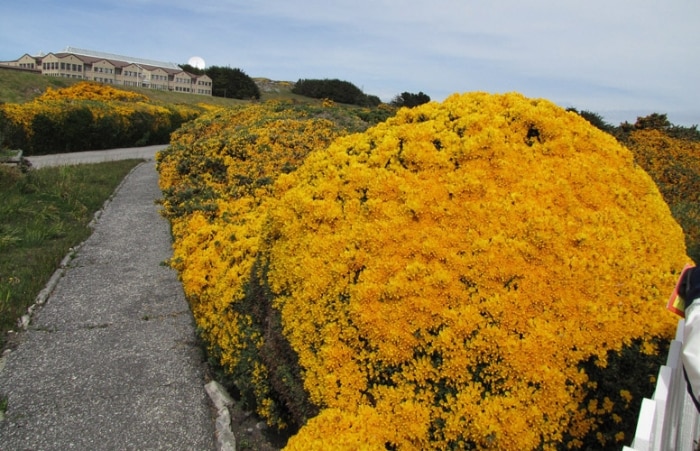 Ilhas Malvinas: 30 anos depois da Guerra