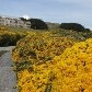 Ilhas Malvinas: 30 anos depois da Guerra
