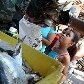 Polícia apreende cerca de uma tonelada de sardinha em Niterói e distribui na Rocinha Polícia apreende cerca de uma tonelada de sardinha em Niterói e distribui na Rocinha