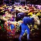 Festa de São João pelo Brasil