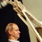 Cientistas apresentam o maior fóssil de pterossauro do Hemisfério Sul Cientistas apresentam o maior fóssil de pterossauro do Hemisfério Sul