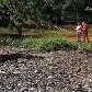 Parque da Aclimação