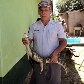 Filhote de jacaré é encontrado no interior de São Paulo 