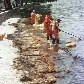 Relembre os últimos vazamentos de petróleo na costa do Brasil Relembre os últimos vazamentos de petróleo na costa do Brasil