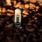 Arte & Lazer - Temperatura controlada: amêndoas em fermenteação têm calor medido durante todo o processo para evitar que as sementes percam as características naturais - Foto: João Milet Meirelles/AE