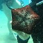 Objeto viaja 10 mil km e é identificado em Taiwan